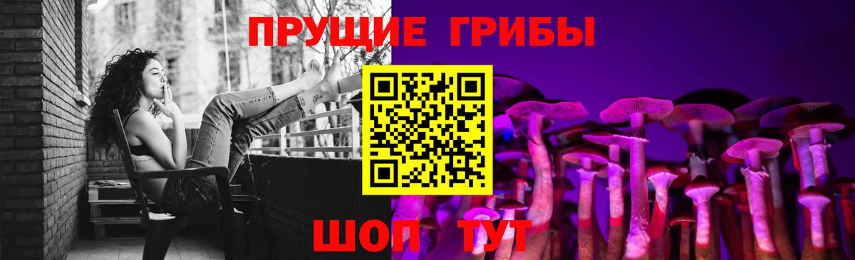 Алексин  Псилоцибиновые грибы мицелий  Вход с VPN 